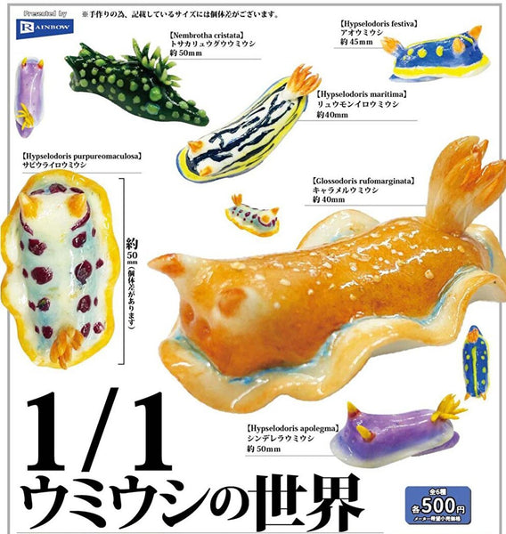 【10月予約】【送料無料】1/1 ウミウシの世界 全6種 コンプリート
