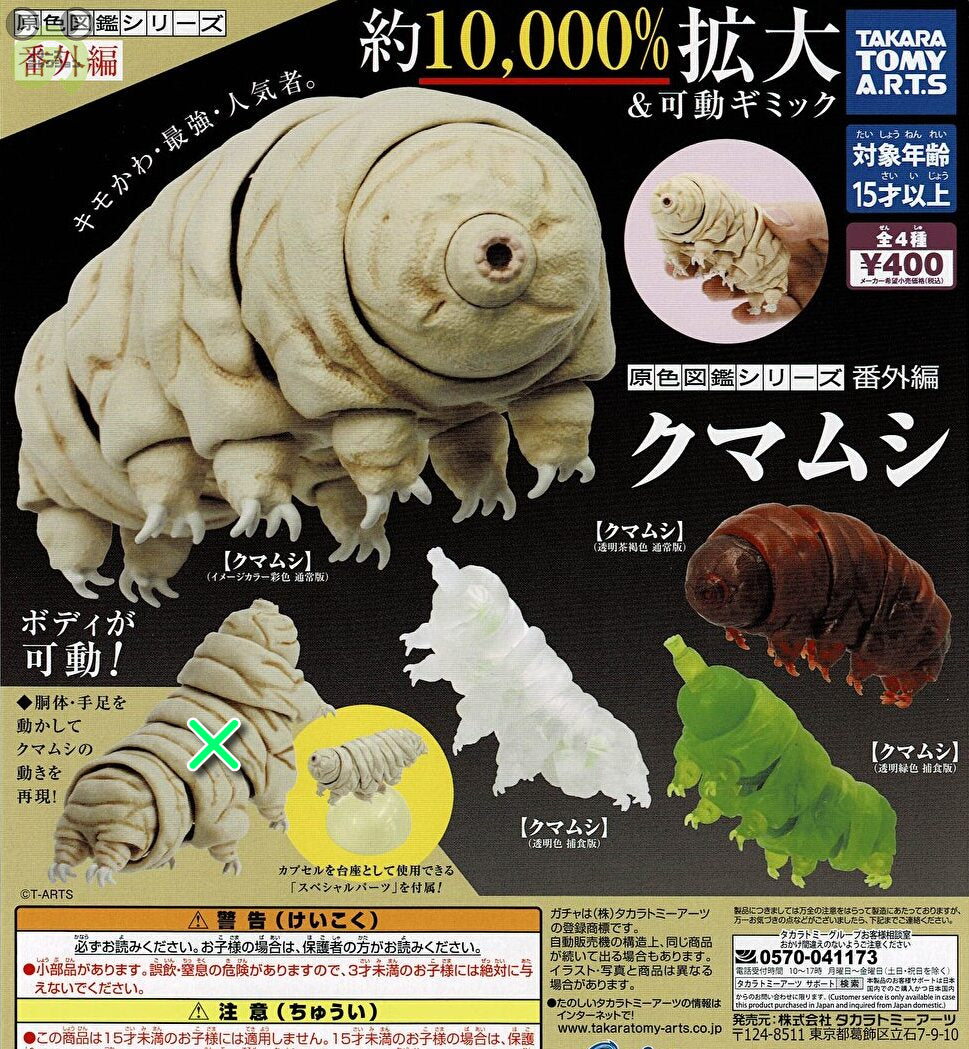クマムシ標本セット クマムシ標本セット