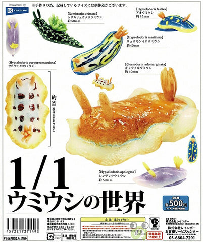 【送料無料】1/1 ウミウシの世界 全6種 コンプリート,ガチャガチャ 通販 在庫情報
