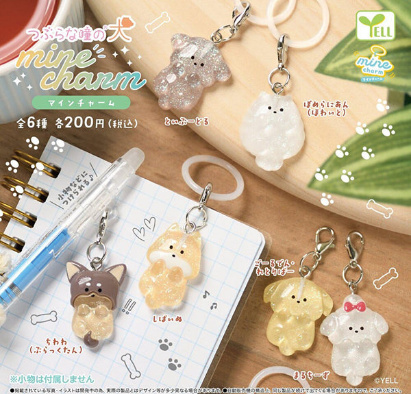 【12月予約】【送料無料】つぶらな瞳の犬 マインチャーム 全6種 コンプリート