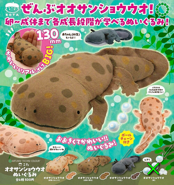 【8月予約】【送料無料】ATC こたオオサンショウウオぬいぐるみ レア除く 3種 セット
