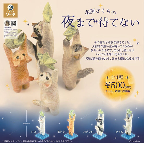 【10月予約】【送料無料】花房さくらの夜まで待てない 全種 コンプリート