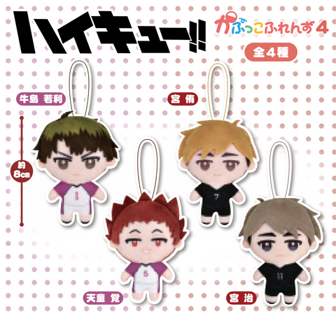 【7月予約】【送料無料】ハイキュー！！ かぷっこふれんず4 全4種 コンプリート,ガチャガチャ 通販 在庫情報