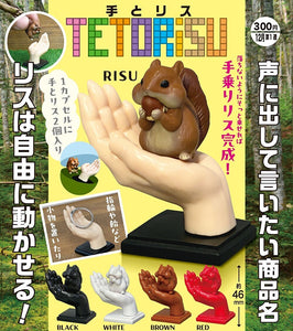 【12月予約】【送料無料】手とリス 全5種 コンプリート