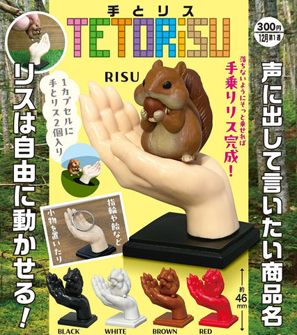 【12月予約】【送料無料】手とリス 全5種 コンプリート,ガチャガチャ 通販 在庫情報