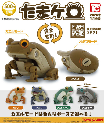 【1月予約】【送料無料】たまケロ 全5種 コンプリート,ガチャガチャ 通販 在庫情報