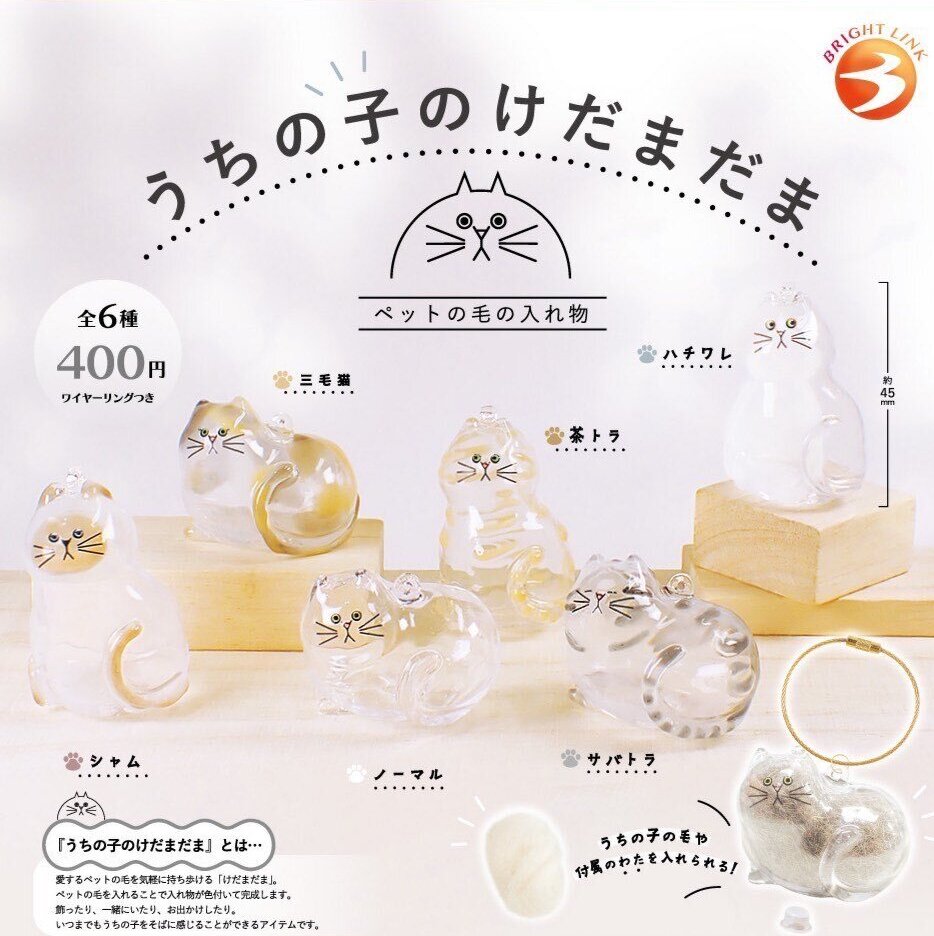 予約商品 | ガチャガチャ カプセルトイ通販 – ノリーズコレクション