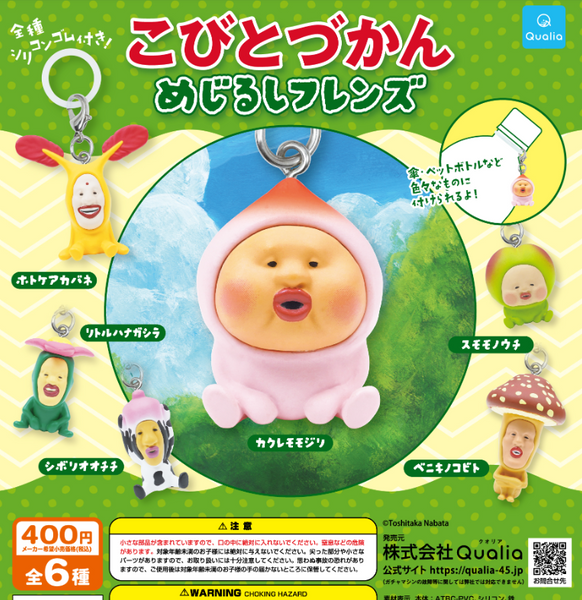 【6月再販予約】【送料無料】こびとづかん めじるしフレンズ 全6種 コンプリート