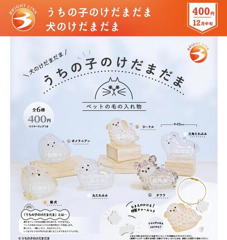 【12月予約】【送料無料】うちの子のけだまだま 犬のけだまだま 全6種 コンプリート,ガチャガチャ 通販 在庫情報
