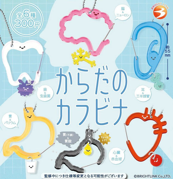 【12月予約】【送料無料】からだのカラビナ 全4種 コンプリート