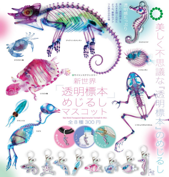 【10月予約】【送料無料】サイエンステクニカラー 新世界 透明標本 めじるしマスコット 全8種 コンプリート