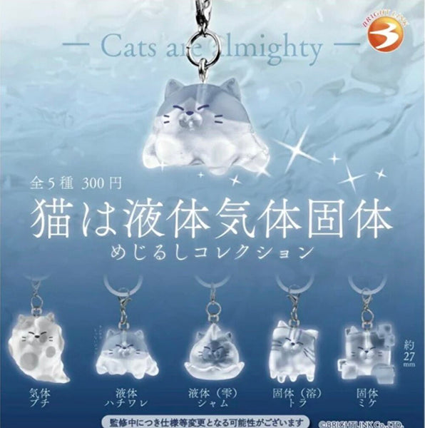 【2月予約】【送料無料】猫は液体気体個体 めじるしコレクション 全5種 コンプリート