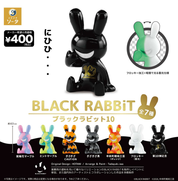【8月予約】【送料無料】 BLACK RABBiT ブラックラビット10 全7種 コンプリート
