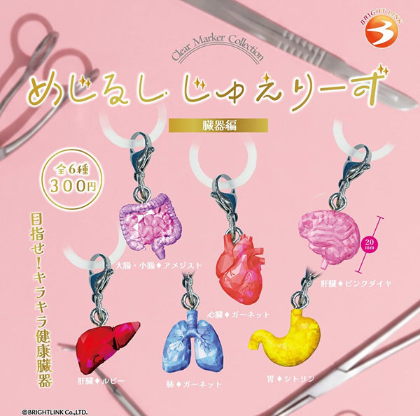【1月予約】【送料無料】めじるしじゅえりーず 臓器編 全6種 コンプリート