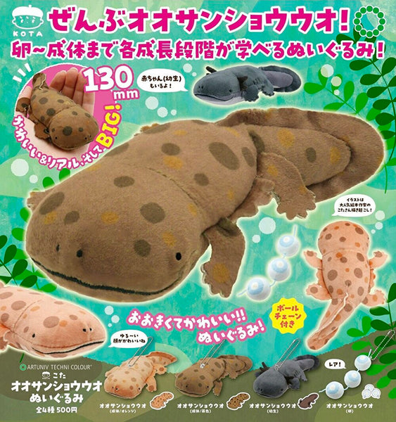 【8月予約】【送料無料】ATC こたオオサンショウウオぬいぐるみ レア入 全4種 コンプリート