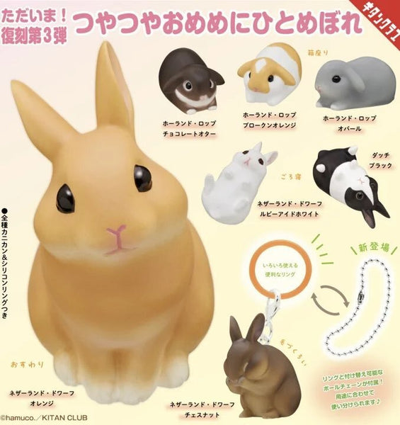 【2月予約】【送料無料】 ntc.Puff うさぎ マーカーチャーム 全7種 コンプリート