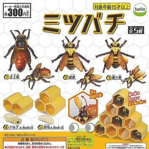 ミツバチ,ガチャガチャ 通販 在庫情報